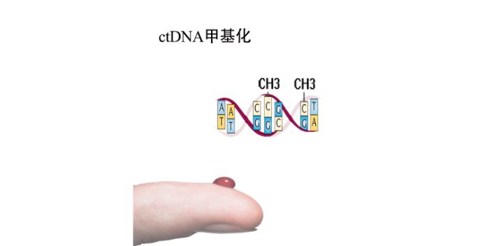 云南平台表观遗传组测序分析,表观遗传组测序