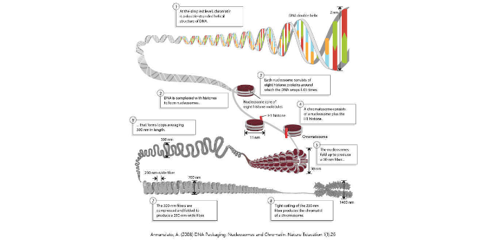 黑龙江云序生物表观遗传组测序是什么,表观遗传组测序