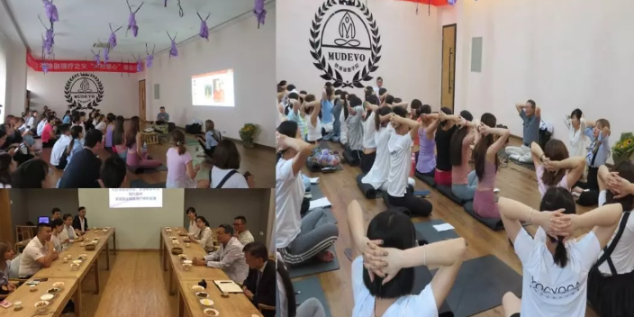 乌鲁木齐瑜伽疗法哪里好 瑜伽疗法协会有限公司供应