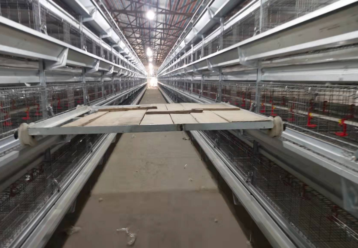 上海机械化养鸡鸡笼图片 西平牧丰农牧设备供应;
