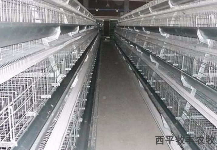 遼寧哪里有賣雞籠多少錢