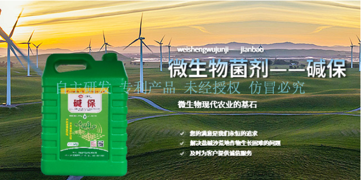 银川碱保特产 服务到位 宁夏五丰农业科技供应
