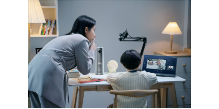 居家办公用性价比视频会议一体机常见问题 深圳市健成云视科技供应;