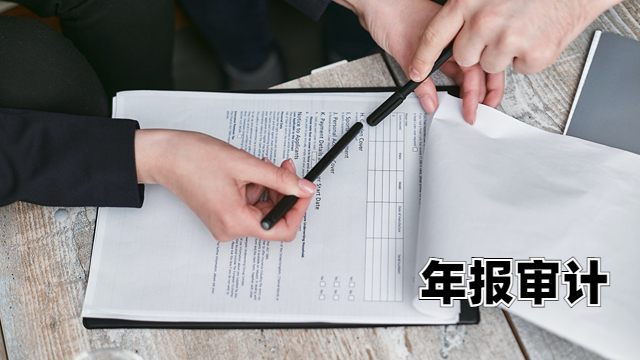 武清区年报审计报告一般多少钱 中税正洁税务师事务所供应