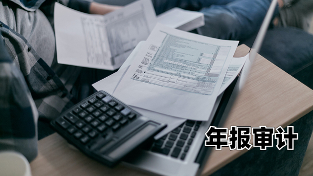 津南区财务年报审计价格 中税正洁税务师事务所供应