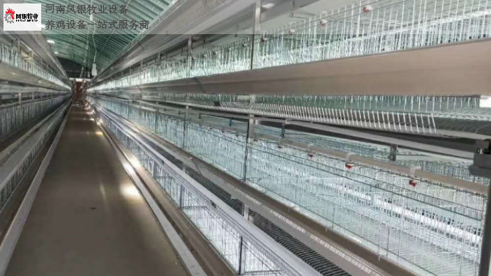 信阳自动化养鸡设备批发 河南凤银牧业养殖设备供应