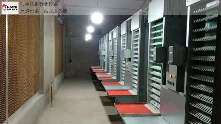 蛋鸡笼自动化养鸡设备多少钱,自动化养鸡