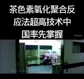 绍兴茶色素茶褐素加工,茶褐素