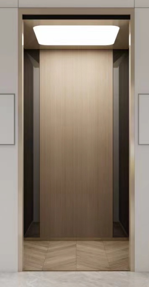 杭州国产别墅电梯排名,别墅电梯