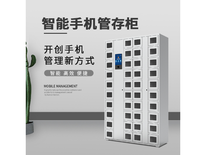 扬州储物柜 欢迎来电 苏州易存智能科技供应