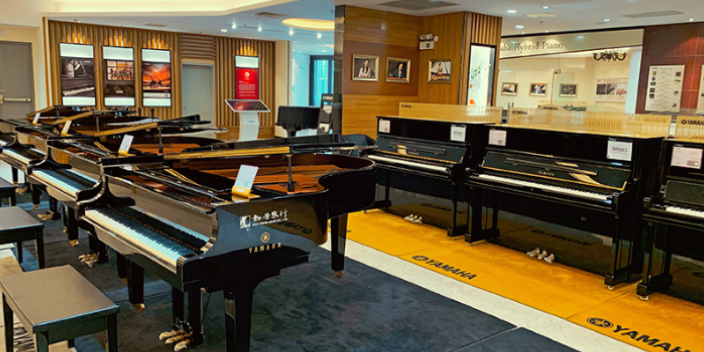 上海专业立式钢琴中心