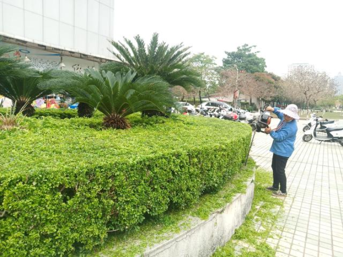 杨浦区工程绿化养护,绿化养护