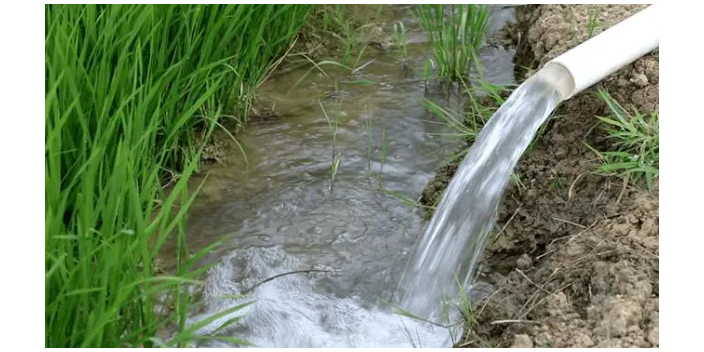 楊浦區室外灌溉主要功能與優勢