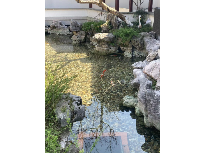 寧波景觀魚池改造