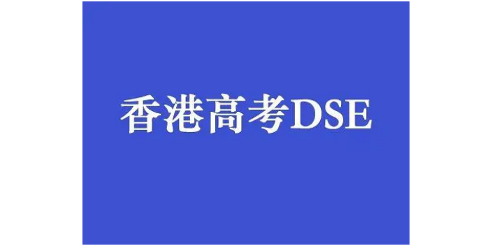 南山DSE會計,DSE