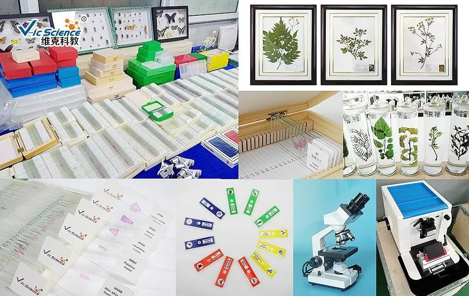 圖片2.png 圖片2.png