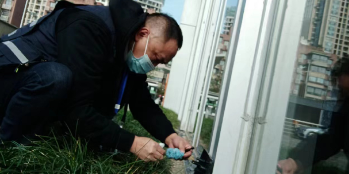 成都机关单位老鼠灭治公司电话