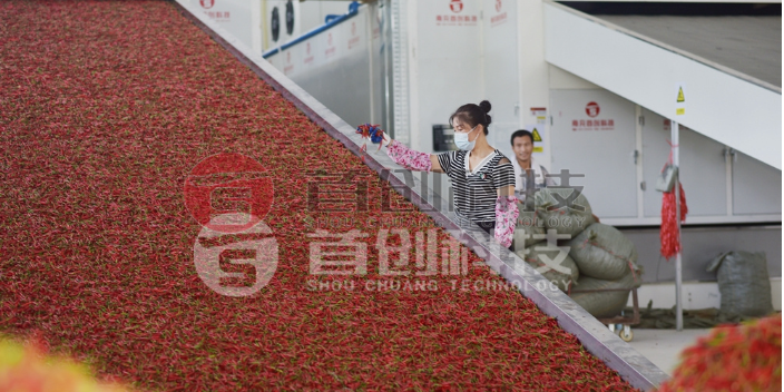 德阳通用网带式辣椒烘干设备