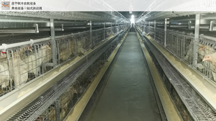 湖北三万只自动化养鸡设备安装 西平牧丰农牧设备供应