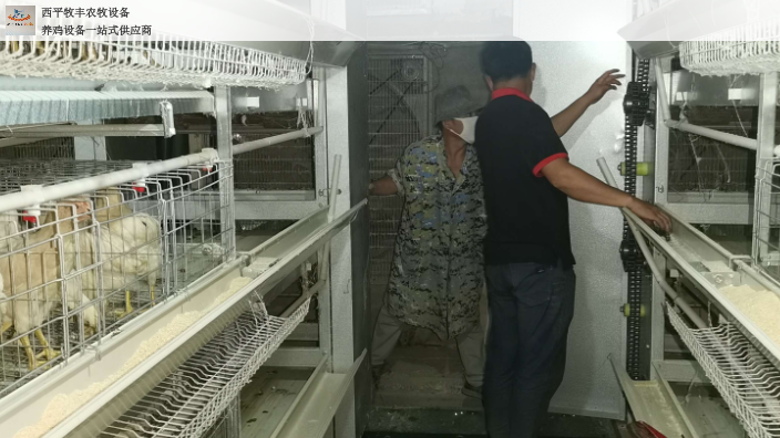 云南三万只自动化养鸡消毒系统 西平牧丰农牧设备供应