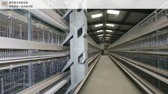 浙江层叠式自动化养鸡图片 西平牧丰农牧设备供应