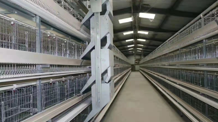 安阳升级自动化养鸡设备多少钱 西平牧丰农牧设备供应;