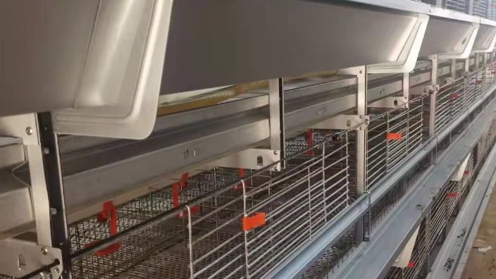 宁夏机械自动化养鸡料线 西平牧丰农牧设备供应