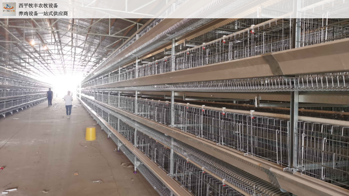 辽宁升级自动化养鸡设备现在价格 西平牧丰农牧设备供应