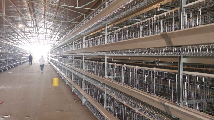 安徽三萬只自動化養雞設備生產廠家 西平牧豐農牧設備供應