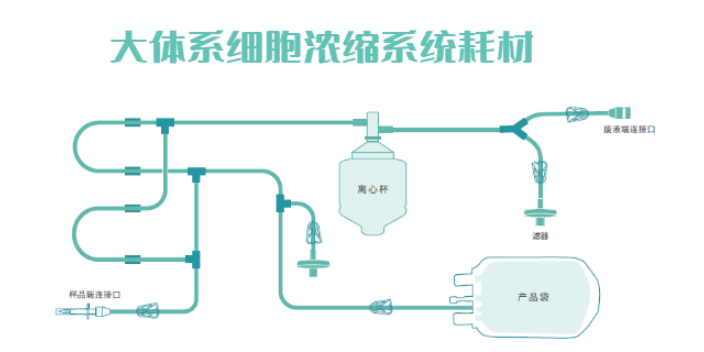 上海大体系细胞浓缩设备销售厂家 中博瑞康供应