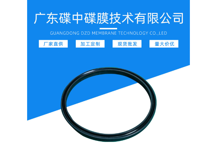 貴州唇型密封圈 誠(chéng)信服務(wù) 廣東碟中碟供應(yīng)