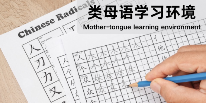 外国人在线学中文速成班,学中文