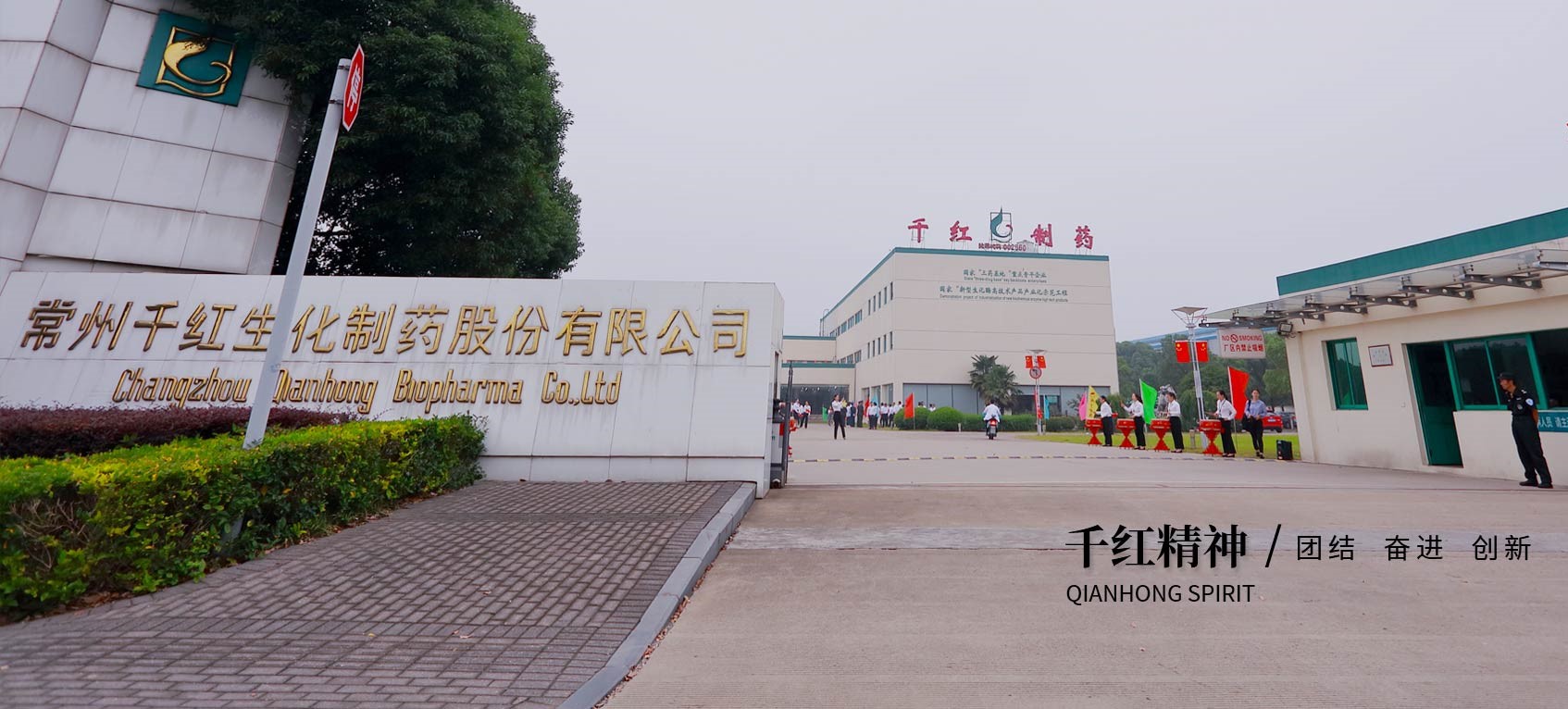 千红.jpg
