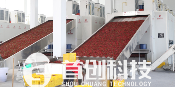 西藏红枣辣椒烘干机生产线