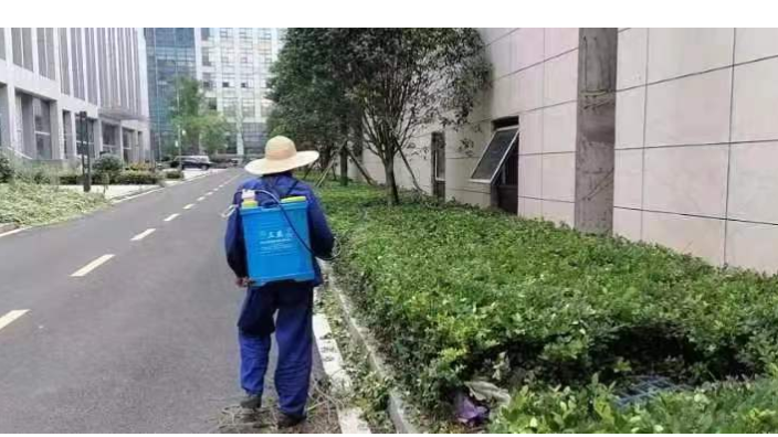 武汉新洲区绿化养护预防方案