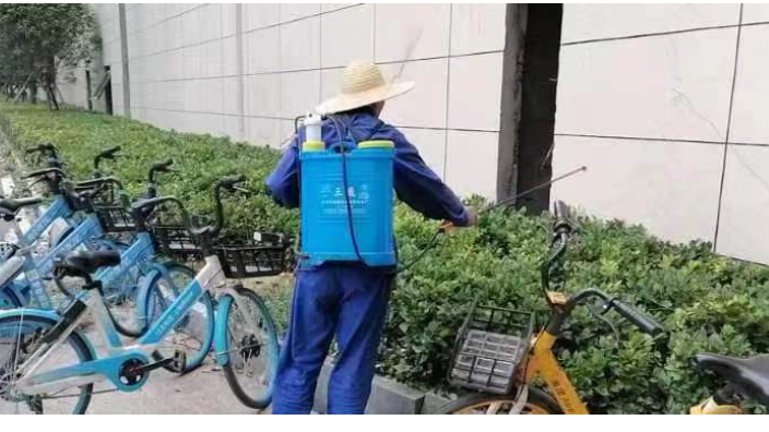 武汉江汉区绿化养护服务内容包括
