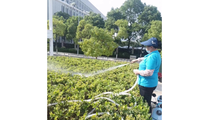 武汉汉南区绿化养护浇水
