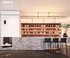 东望府