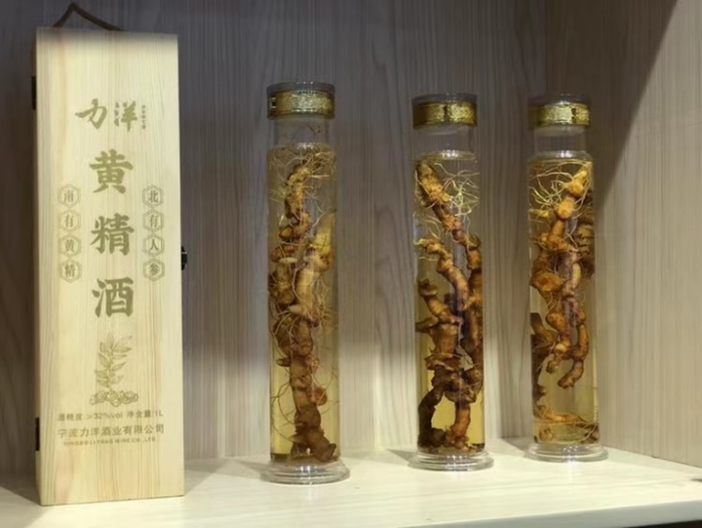 力洋黄精酒原来是这样来的-宁波力洋酒业有限公司