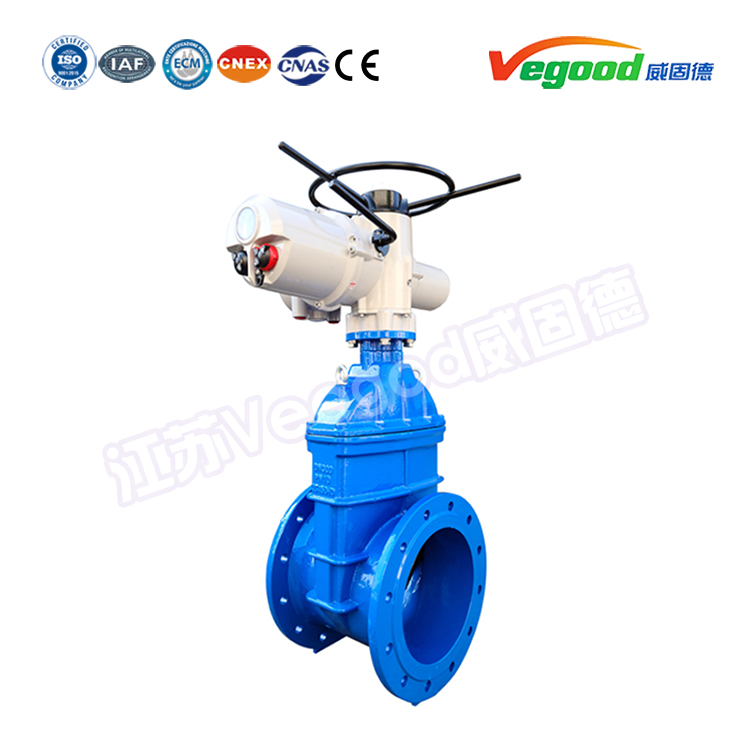 閥門(mén)知識(shí)：電動(dòng)執(zhí)行器的選型及注意事項(xiàng)