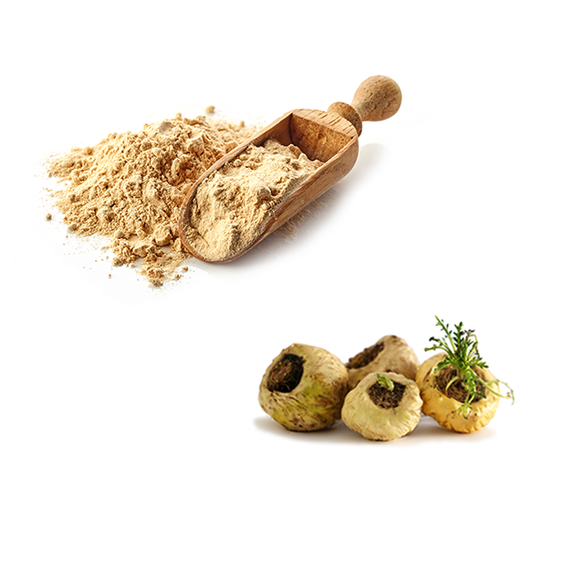 Organic Maca Extract Supplier And Manufacturer-Fingres