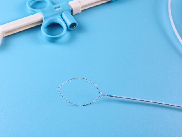 一次性使用电圈套器