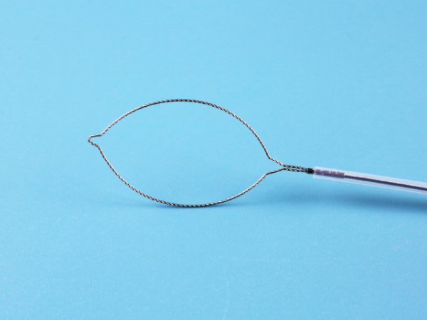 一次性使用电圈套器