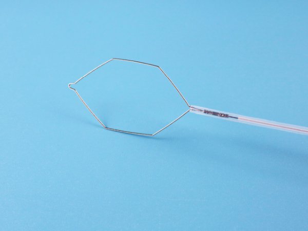 一次性使用电圈套器