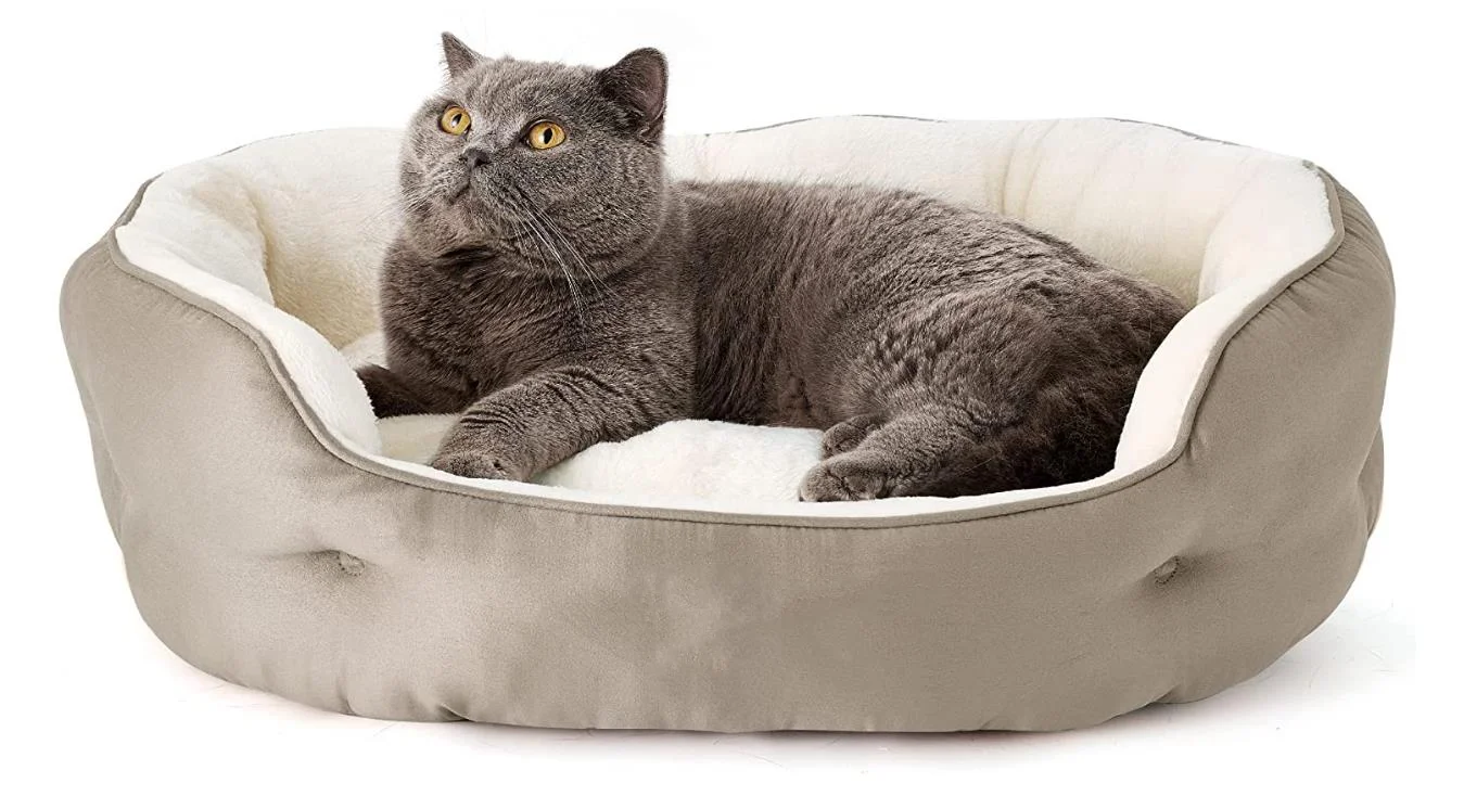 round pet bed