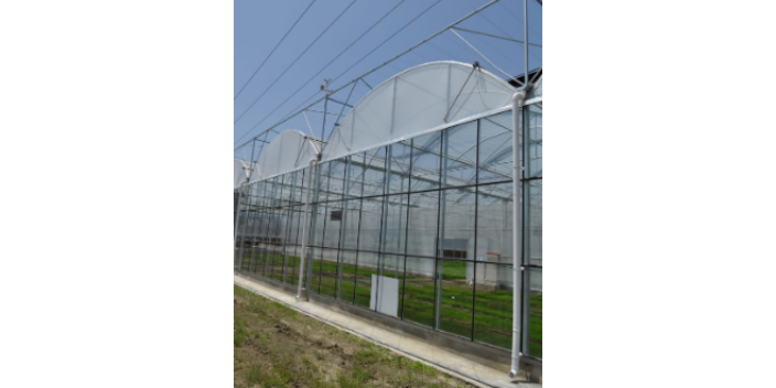 綿陽高質量溫室大棚 來電咨詢 綿陽興隆科技供應