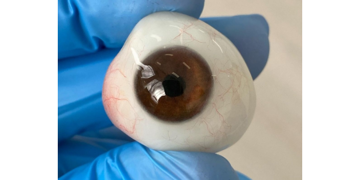 上海仿生rb義眼價(jià)格 上海崇睿醫(yī)療器械科技供應(yīng)