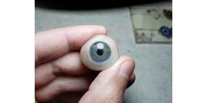 上海小眼球活動義眼 上海崇睿醫療器械科技供應