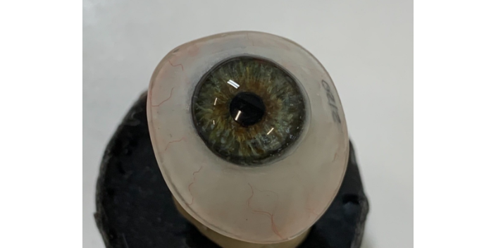 上海單眼活動義眼型號 上海崇睿醫療器械科技供應