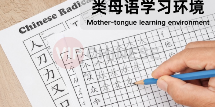 汕头老外学汉语成人课程,汉语